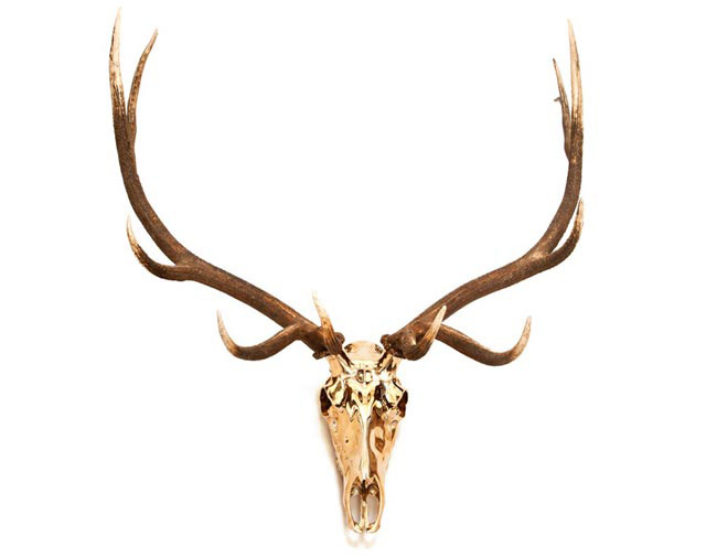 elk-topview
